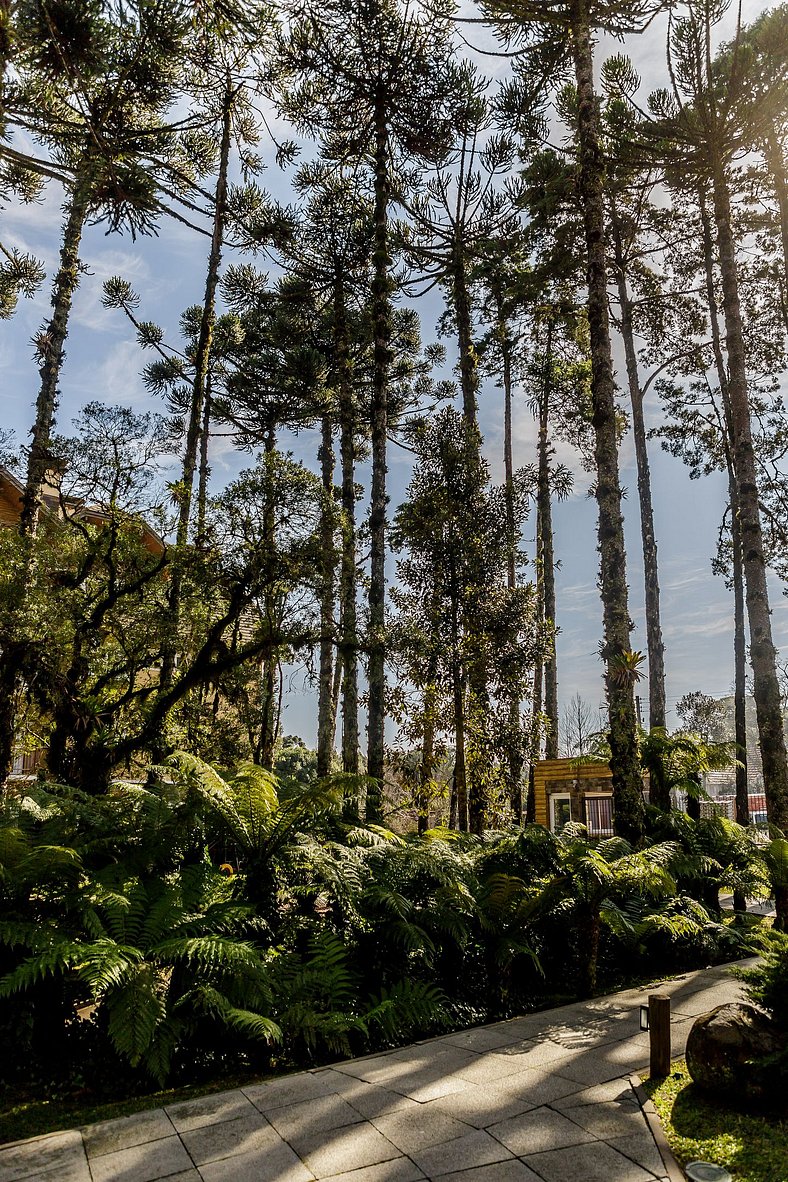 Cobertura Duplex com Piscina Aquecida, próximo aos museus